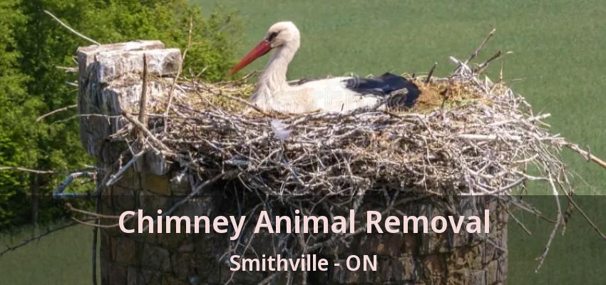 Chimney Animal Removal Smithville - ON Chimney Animal Removal Smithville - ON
