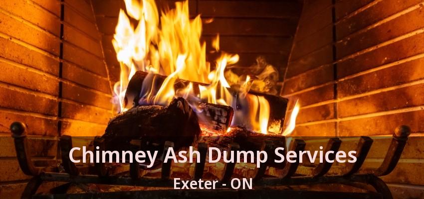 Chimney Ash Dump Services Exeter - ON