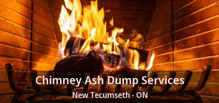 Chimney Ash Dump Services New Tecumseth - ON Chimney Ash Dump Services New Tecumseth - ON