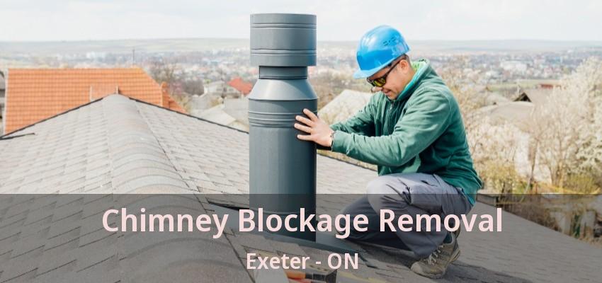 Chimney Blockage Removal Exeter - ON