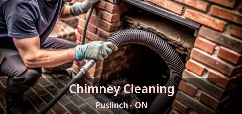 Chimney Cleaning Puslinch - ON Chimney Cleaning Puslinch - ON