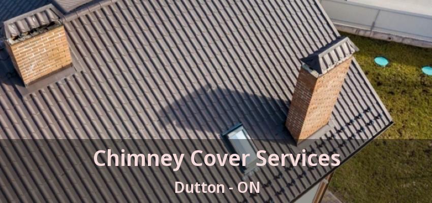 Chimney Cover Services Dutton - ON
