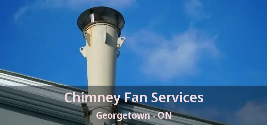 Chimney Fan Services Georgetown - ON