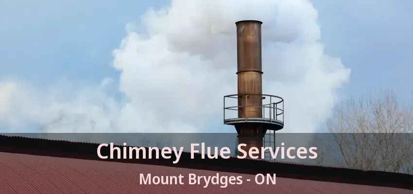 Chimney Flue Services Mount Brydges - ON