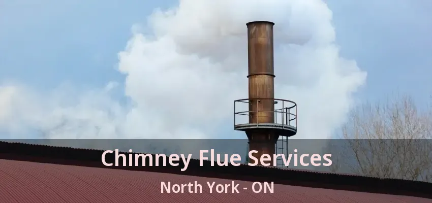Chimney Flue Services North York - ON
