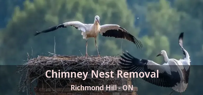 Chimney Nest Removal Richmond Hill - ON Chimney Nest Removal Richmond Hill - ON