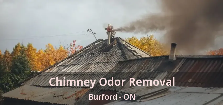 Chimney Odor Removal Burford - ON Chimney Odor Removal Burford - ON