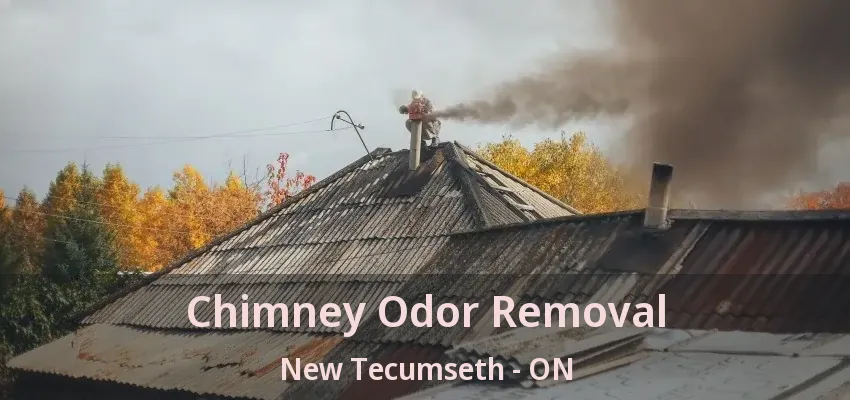 Chimney Odor Removal New Tecumseth - ON Chimney Odor Removal New Tecumseth - ON