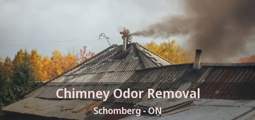 Chimney Odor Removal Schomberg - ON Chimney Odor Removal Schomberg - ON
