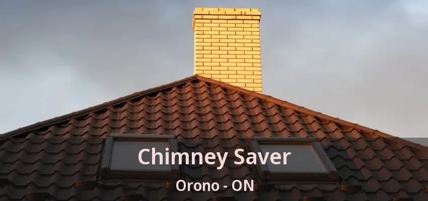 Chimney Saver Orono - ON Chimney Saver Orono - ON