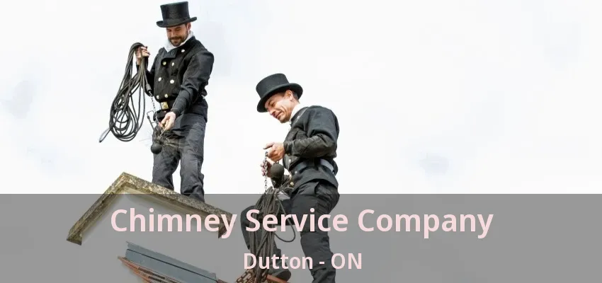 Chimney Service Company Dutton - ON