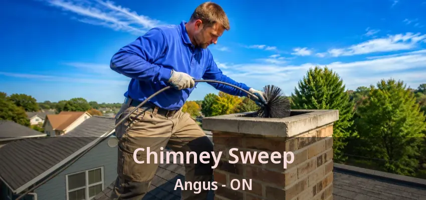Chimney Sweep Angus - ON Chimney Sweep Angus - ON