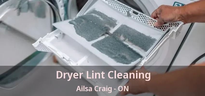 Dryer Lint Cleaning Ailsa Craig - ON Dryer Lint Cleaning Ailsa Craig - ON