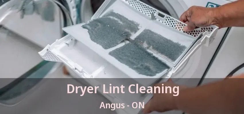 Dryer Lint Cleaning Angus - ON Dryer Lint Cleaning Angus - ON