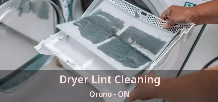 Dryer Lint Cleaning Orono - ON