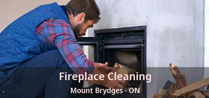 Fireplace Cleaning Mount Brydges - ON Fireplace Cleaning Mount Brydges - ON