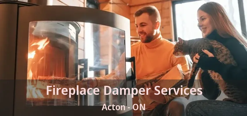 Fireplace Damper Services Acton - ON