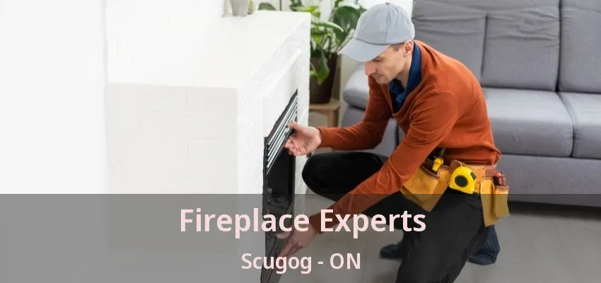 Fireplace Experts Scugog - ON Fireplace Experts Scugog - ON