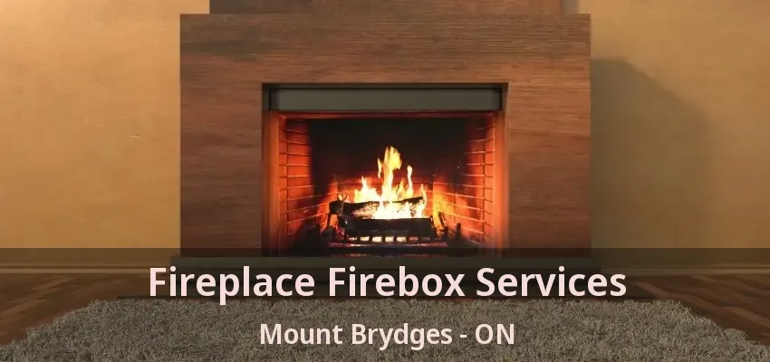 Fireplace Firebox Services Mount Brydges - ON