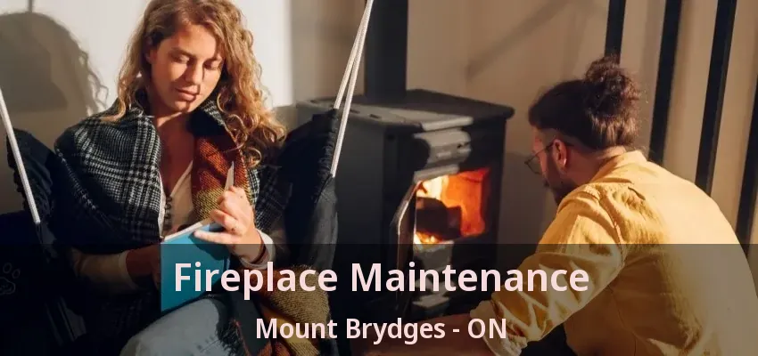 Fireplace Maintenance Mount Brydges - ON Fireplace Maintenance Mount Brydges - ON