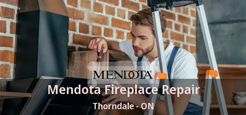 Mendota Fireplace Repair Thorndale - ON