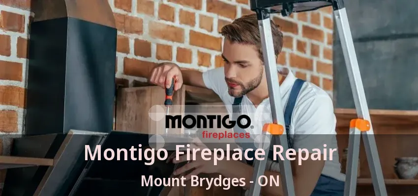 Montigo Fireplace Repair Mount Brydges - ON