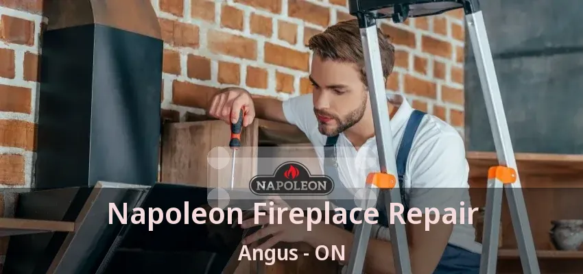 Napoleon Fireplace Repair Angus - ON Napoleon Fireplace Repair Angus - ON