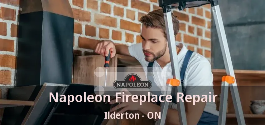 Napoleon Fireplace Repair Ilderton - ON Napoleon Fireplace Repair Ilderton - ON