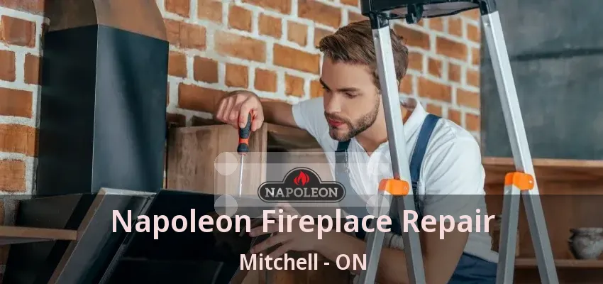 Napoleon Fireplace Repair Mitchell - ON