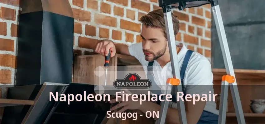Napoleon Fireplace Repair Scugog - ON