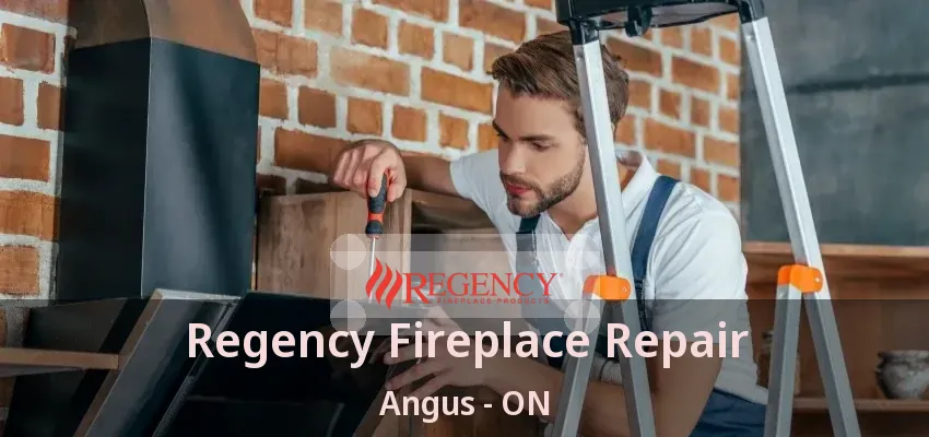 Regency Fireplace Repair Angus - ON Regency Fireplace Repair Angus - ON