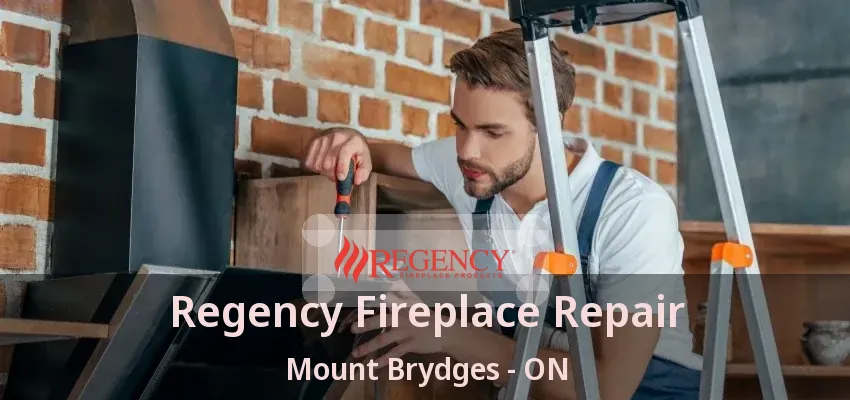 Regency Fireplace Repair Mount Brydges - ON Regency Fireplace Repair Mount Brydges - ON