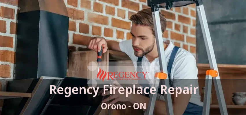 Regency Fireplace Repair Orono - ON