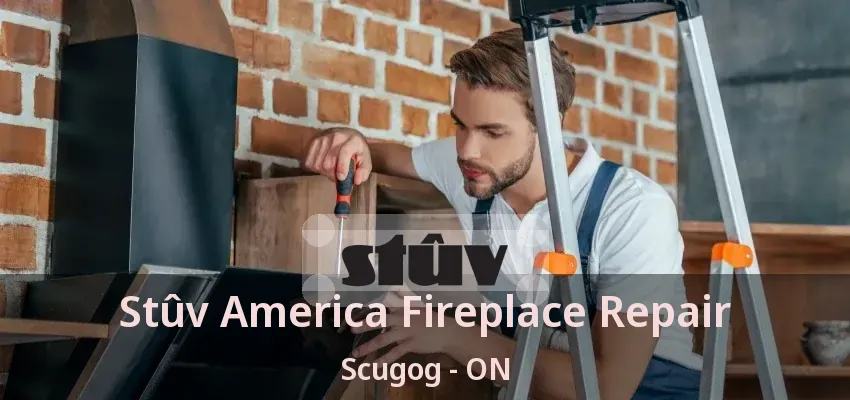 Stûv America Fireplace Repair Scugog - ON