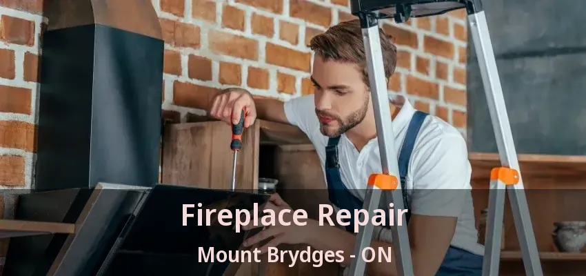 Fireplace Repair Mount Brydges - ON Fireplace Repair Mount Brydges - ON