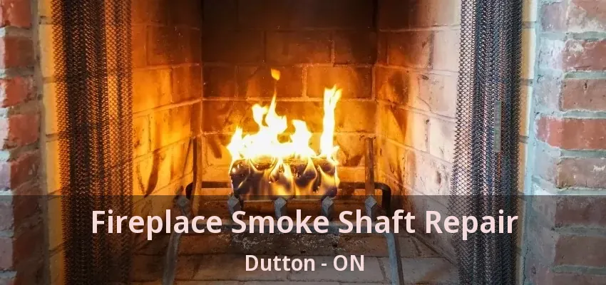 Fireplace Smoke Shaft Repair Dutton - ON