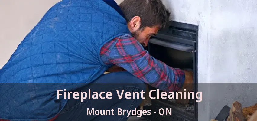 Fireplace Vent Cleaning Mount Brydges - ON Fireplace Vent Cleaning Mount Brydges - ON