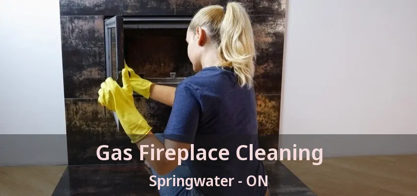 Gas Fireplace Cleaning Springwater - ON