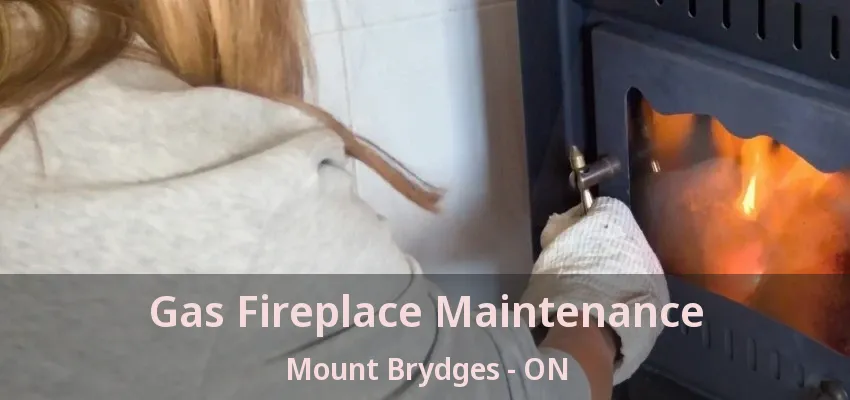 Gas Fireplace Maintenance Mount Brydges - ON