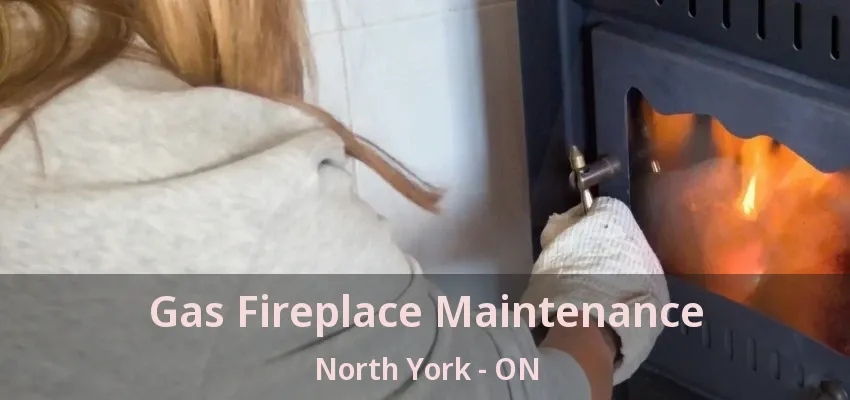 Gas Fireplace Maintenance North York - ON