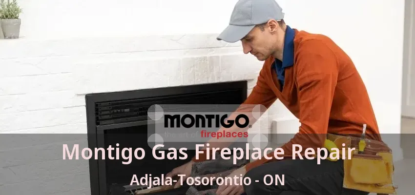 Montigo Gas Fireplace Repair Adjala-Tosorontio - ON Montigo Gas Fireplace Repair Adjala-Tosorontio - ON