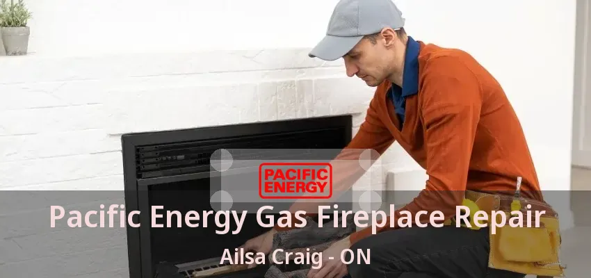 Pacific Energy Gas Fireplace Repair Ailsa Craig - ON