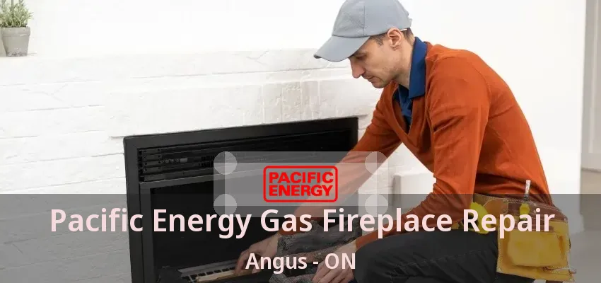 Pacific Energy Gas Fireplace Repair Angus - ON Pacific Energy Gas Fireplace Repair Angus - ON