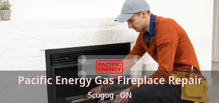 Pacific Energy Gas Fireplace Repair Scugog - ON