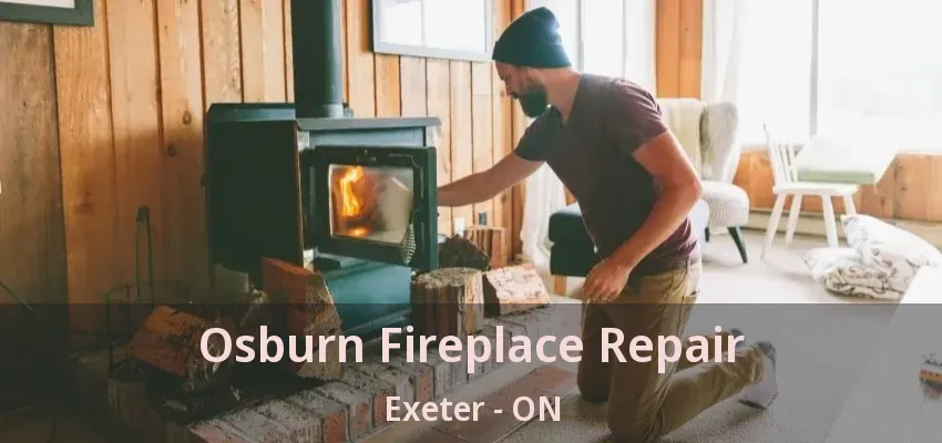 Osburn Fireplace Repair Exeter - ON