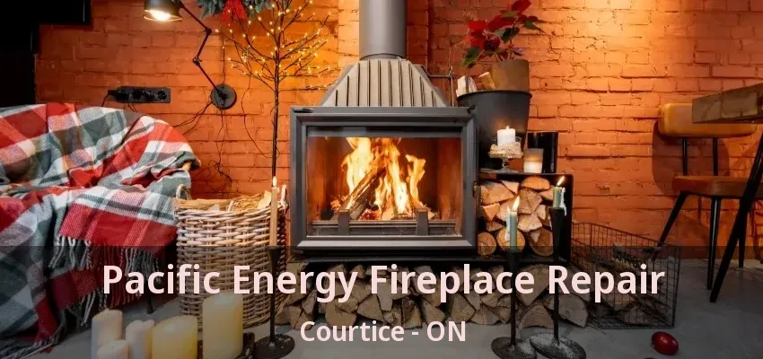 Pacific Energy Fireplace Repair Courtice - ON