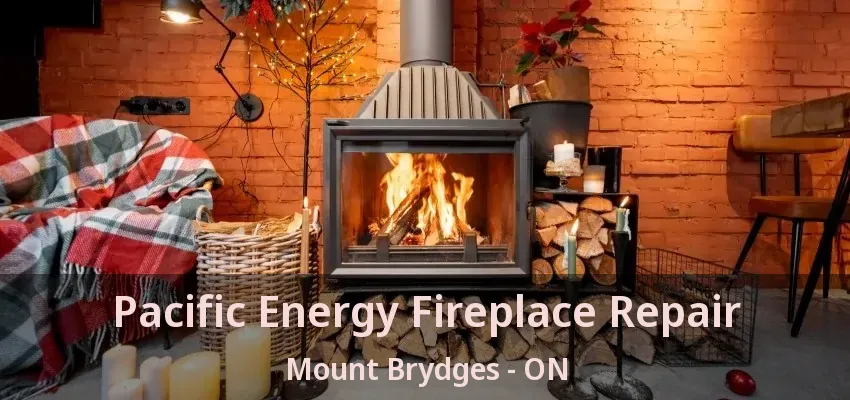 Pacific Energy Fireplace Repair Mount Brydges - ON Pacific Energy Fireplace Repair Mount Brydges - ON