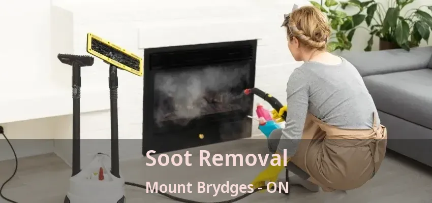 Soot Removal Mount Brydges - ON Soot Removal Mount Brydges - ON